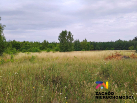 Działka budowlan w Słonym na sprzedaż